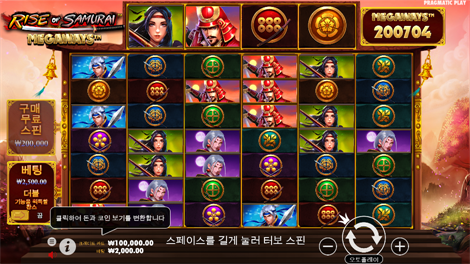 와일드 비치 파티